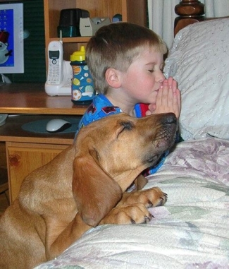 doggy-prayer.jpg